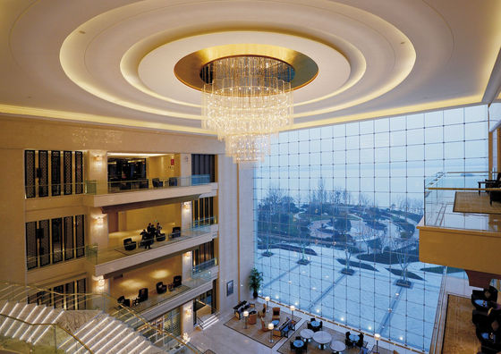 OEM ODM Creative Art Pendant Light για χώρους υψηλού επιπέδου